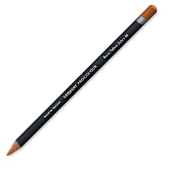 Derwent ProColour Colored Pencil - Burnt Yellow