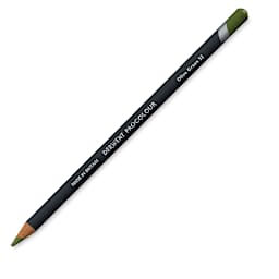 Derwent ProColour Colored Pencil - Olive Green