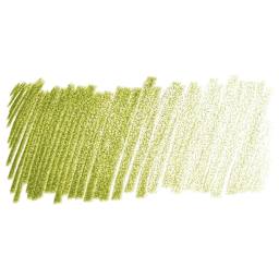Derwent ProColour Colored Pencil - Olive Green swatch
