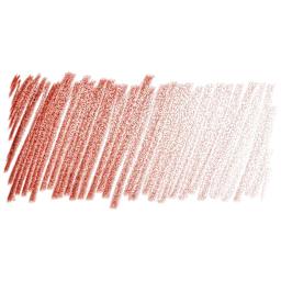 Derwent ProColour Colored Pencil - Nutmeg swatch