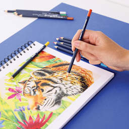 Faber-Castell Goldfaber Color Pencils - Set of 12, Assorted Colors, sketching a tiger