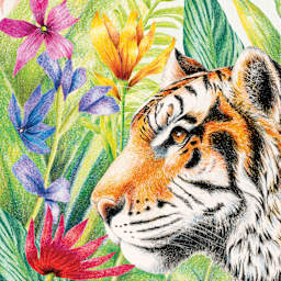 Artwork made with Faber-Castell Goldfaber Color Pencils - Set of 48, Assorted Colors
