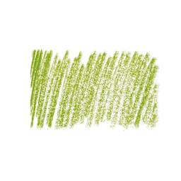 Posca Colored Pencil - Green Tea swatch