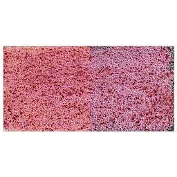 Jacquard Pearl-Ex Pigment - Blue Russet swatch