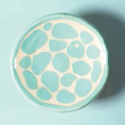 Amaco Lead-Free Velvet Underglaze - Sea Glass Blue applied to clay surface