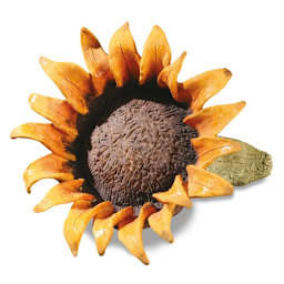 Amaco Lead-Free Velvet Underglazes, Sunflower (finished artwork)