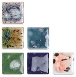 Jungle Gems Crystal Glazes, Crystalite Class Pack #1