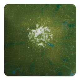 Mayco Crystalite Glaze - Spotted Kiwi, fired to Cone 6 oxidation