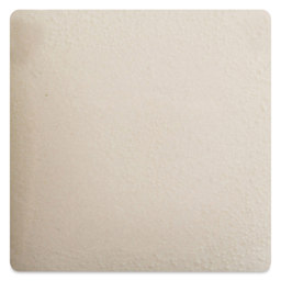 Blick Essentials Gloss Glaze - Snapdragon fired to cone 6 oxidation