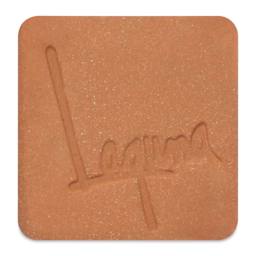 Laguna B-Mix 5 Red Clay with Grog WC438
