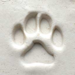 MKM Pottery Tools Medium Round Stamp - SCM-001, Dog Paw Print applied to clay