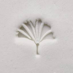 MKM Pottery Tools Small Round Stamp - SCS-048, Gingko Leaf applied to clay