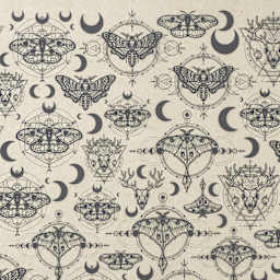 Elan Transfers Underglaze Transfer Sheet - Alchemy, Black - close-up