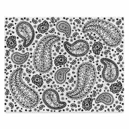 Mayco Designer Silkscreens - Paisley Full Design