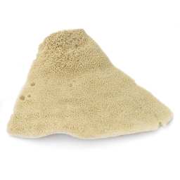 Royal & Langnickel Elephant Ear Economy Sponge - 4"- 4-1/2", #5
