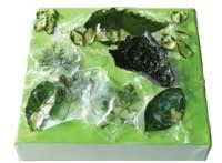 preserving flowers and other organics in acrylic