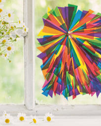 Veils of Light and Color