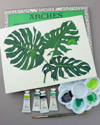 Bundle Foliage