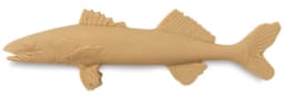 Walleye