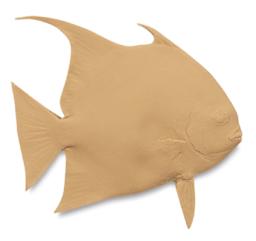 Angel Fish