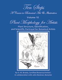 OM Art Plant Morphology