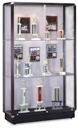 Waddell Prominence Display Case - left angle showing two glass shelves and Bronze frame