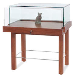 Tecno Display 36" Rectangular Museum Showcase - right angled view showing base slightly opened 