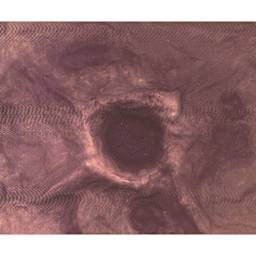 Plastruct Moon and War Craters Patterned Sheet, finished example