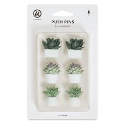 U Brands Push Pins - Potted Succulents, Pkg of 6, front of the packaging