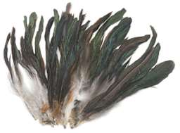 Bronze Schoppen