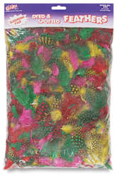 Spotted Guinea Feathers - Front view of Classroom pack
