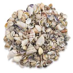 Hygloss Bucket O' Shells - Pile of Natural mix Seashells

