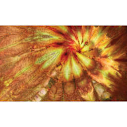 Jacquard Ice Dye Kit - Spumoni close up showing color effects