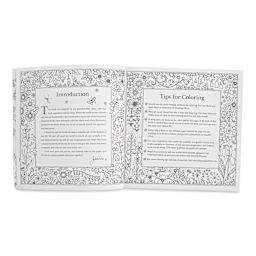 Rooms of Wonder Coloring Book (introduction and tips for coloring pages)
