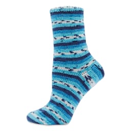 Premier Yarn Fruits Yarn - Blueberry (sock made with Blueberry yarn)