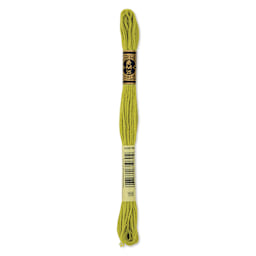 DMC Cotton Embroidery Floss - Medium Light Moss Green, 8-3/4 yards