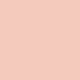 Acrylic Leather Paint Georgia Peach