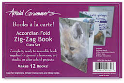 Arnold Grummer's Zig-Zag Book Classroom Pack - Front of package shown