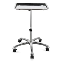 TatSoul Stainless Wheeled Mayo Tray