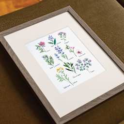 DMC The Designer Collection Cross Stitch Kit finished in frame
