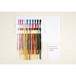 DMC The Masters Collection Cross Stitch Kit - “The Frame” by Frida Kahlo, Musée National d'Art Moderne included threads