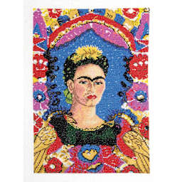DMC The Masters Collection Cross Stitch Kit - “The Frame” by Frida Kahlo, Musée National d'Art Moderne finished example