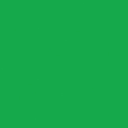 Cricut Infusible Ink Solid Transfer Sheets - Bright Green
