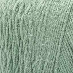 Caron One Pound Acrylic Yarn - Succulent close-up