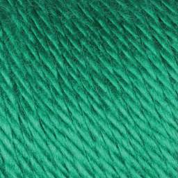 Caron Simply Soft Yarn - Kelly Green (Close-up of yarn)
