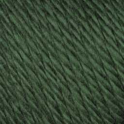 Caron Simply Soft Yarn - Dark Sage close up to show texture
