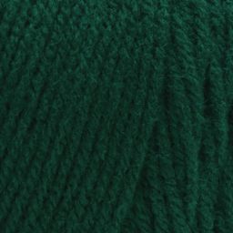Red Heart Super Saver Yarn - Paddy Green, close-up