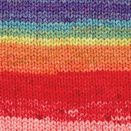 Premier Yarn Colorfusion Chunky Yarn - Prism, 109 yards finished knitted example