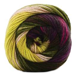 Premier Yarn Colorfusion DK Yarn - Grapevine, 325 yards close up
