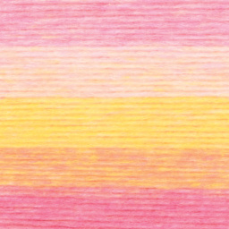 Lion Brand Landscapes Renewed Yarn - Sherbet, close-up